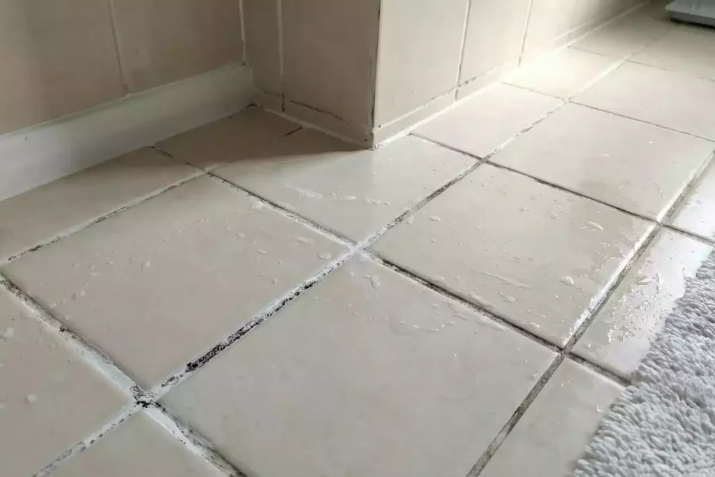salpêtre joint carrelage intérieur traitement
