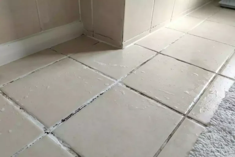 salpêtre joint carrelage intérieur traitement