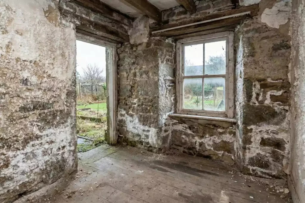 salpêtre maison ancienne