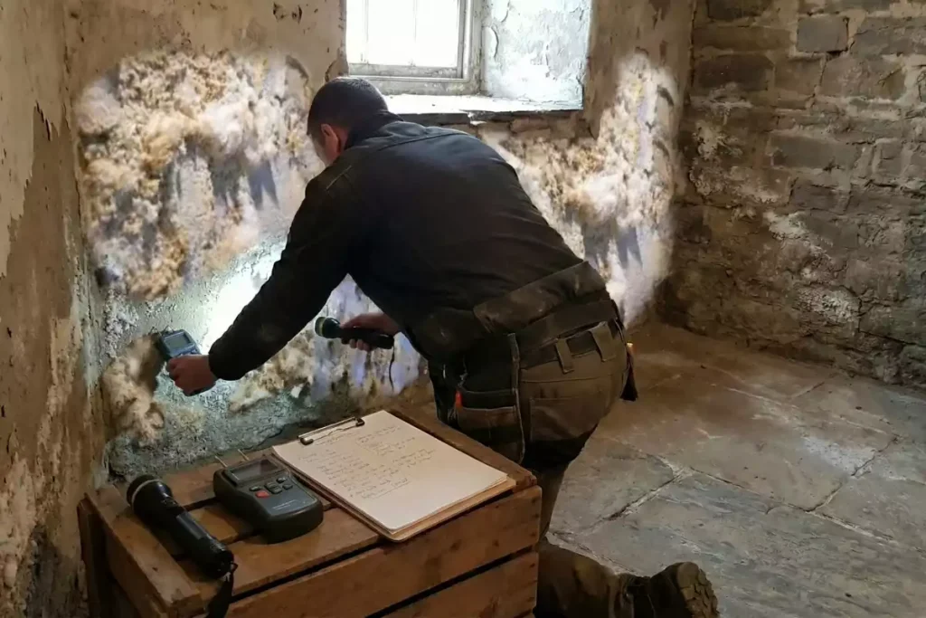 salpêtre mur maison ancienne