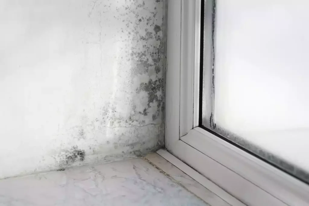 comment nettoyer moisissure pont thermique