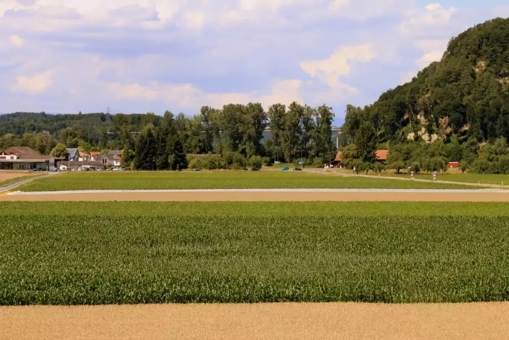 consommation electrique annuelle robot tondeuse