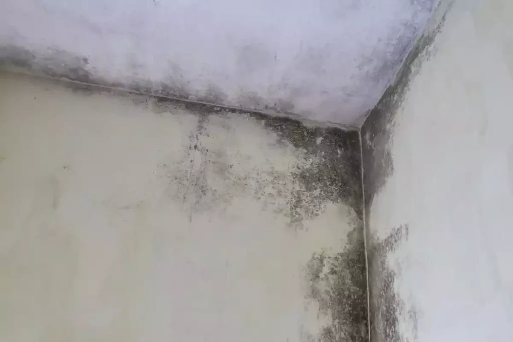 solution nettoyer moisissure pont thermique