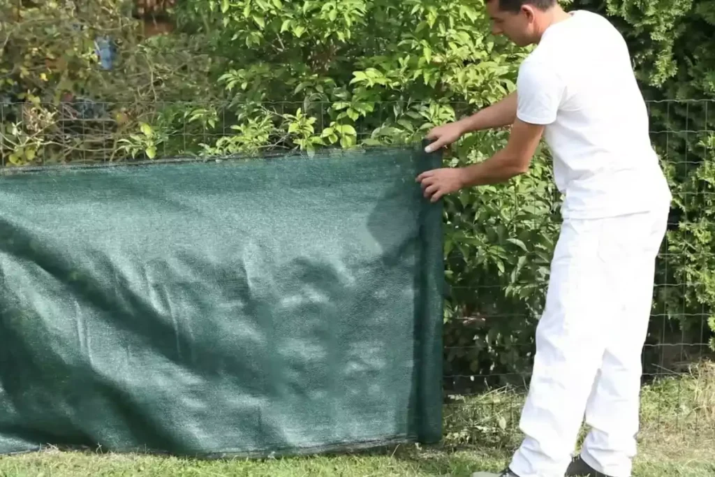 solution brise vue sans grillage